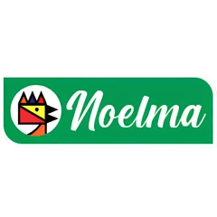 Logo da empresa Noelma